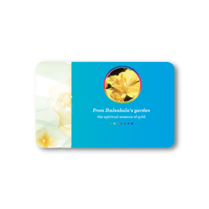 Double Yellow Hibiscus Card