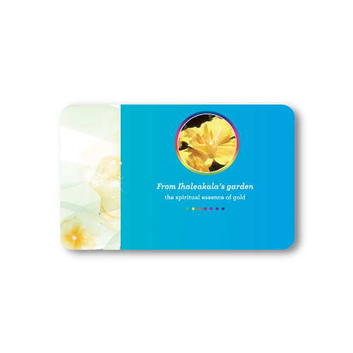 Double Yellow Hibiscus Card