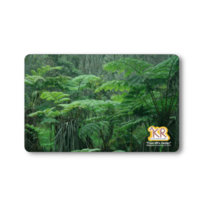 KR Card: Hapu Forest