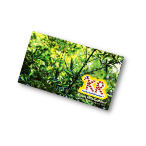 The Bamboo Card 1